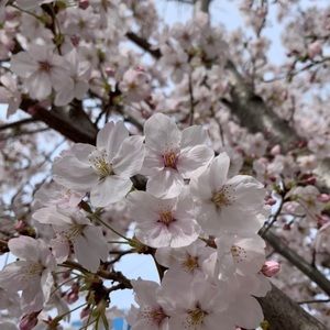 Meet your Posher, Quincy